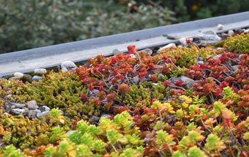 the cost of Brompton Regis green roof installation
